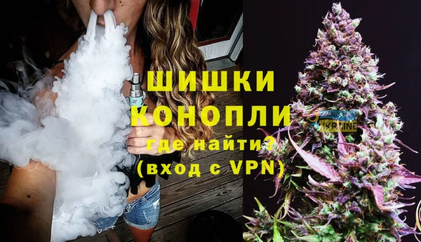 прущие грибы Белая Холуница